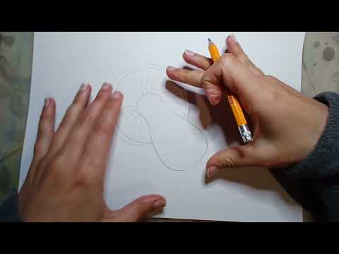 Видео: гриби