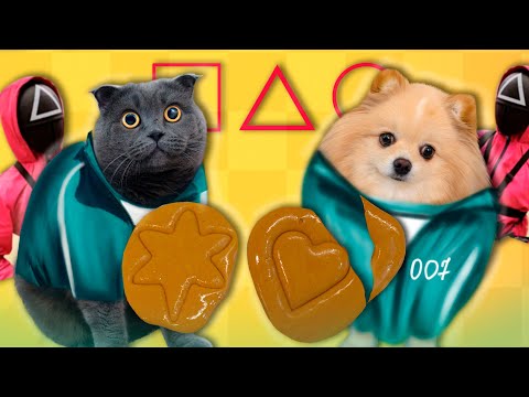 Видео: ИГРА В КАЛЬМАРА В РЕАЛЬНОЙ ЖИЗНИ С ПИТОМЦАМИ | КАРАМЕЛЬНЫЕ СЛАДКИЕ СОТЫ