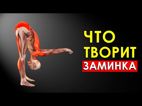 Видео: Что Будет с Телом, Если Делать Заминку После Тренировки
