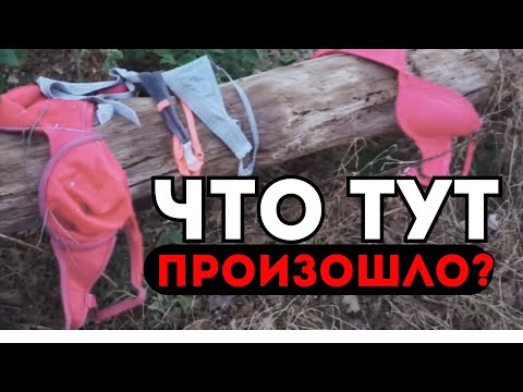 Видео: УЖАСНЫЕ МЕСТА СО ВСЕГО МИРА СНЯТЫЕ НА КАМЕРУ