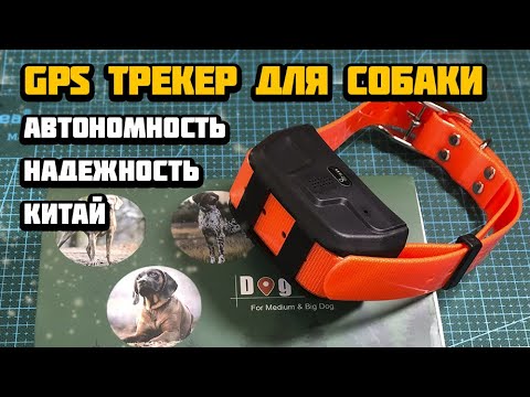 Видео: GPS ошейник с трекером для вашей собаки