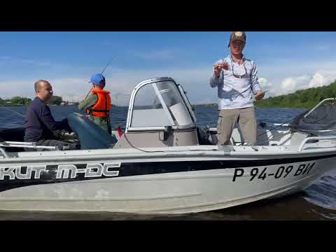 Видео: 🚤 Лодка SWIMMER.  🌊Река Волхов. 🎣Джиг. 🐟 Судак. 01.08.2024.