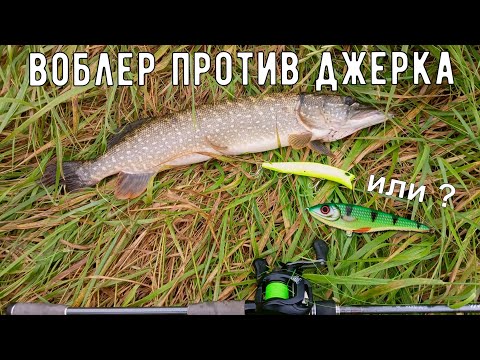 Видео: Воблер или Джерк ??? что выбрать для рыбалки на щуку ? Лето ! сложно поймать щуку ? ... НЕТ