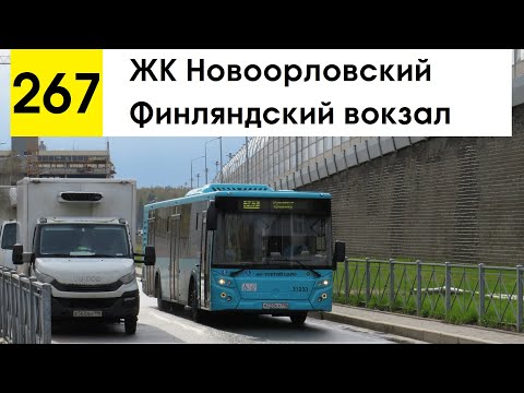 Видео: Автобус 267 "ЖК "Новоорловский" - Финляндский вокзал"
