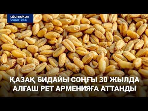 Видео: Қазақ бидайы соңғы 30 жылда алғаш рет Арменияға аттанды