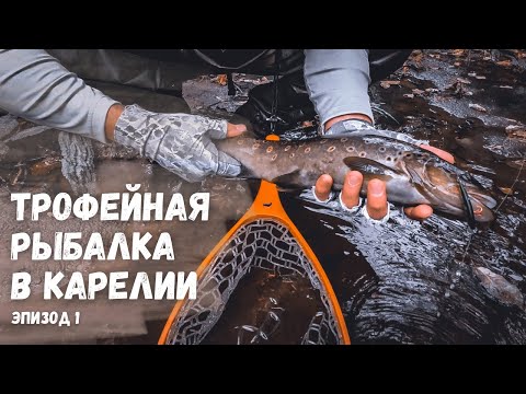 Видео: ТРОФЕЙНАЯ РЫБАЛКА В КАРЕЛИИ. Ловля форели на спиннинг. Карелия радует уловом. Эпизод 1