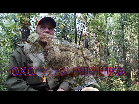 Видео: Охота на рябчика в августе на манок.Что нужно знать чтобы охота была удачной.