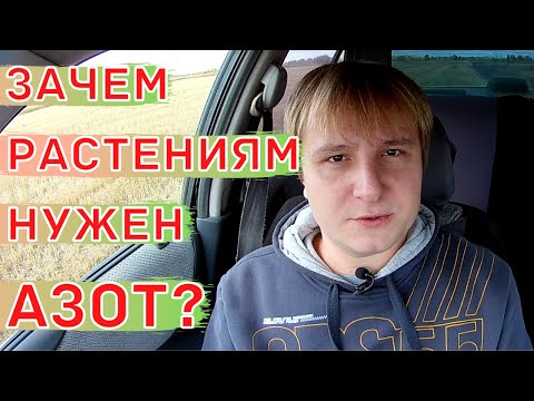 Видео: Азотное питание растений. Источники азота для растений. NPK