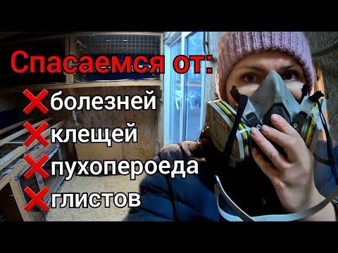 Видео: Дезинфекция курятника. Как избавиться от пухопероеда, клеща, глистов и болезней.