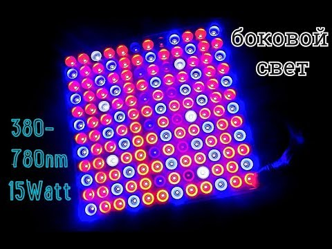 Видео: Фито Лампа полный спектр 45 Ват(15 Ватт) Fitolamp самая дешевая для выращивания растений в помещении
