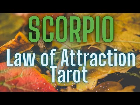 Видео: Таро Скорпиона ~Гадания на деньги и любовь~Ноябрь 2025💰🌎❤️