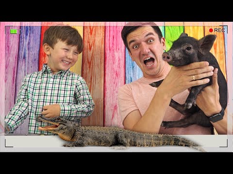 Видео: ЧЕЛЛЕНДЖ Собачьи Игрушки против Настоящих ЖИВОТНЫХ New Challenge Dog Toys vs Real Animals