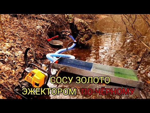 Видео: ИЩУ ЗОЛОТО В ЛЕСУ,МОЮ ЭЖЕКТОРОМ ПО-ЧЁРНОМУ.