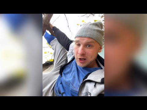 Видео: СБОРНИК Ржачных приколов / Смех до слёз / Вайны от Натурал Альбертовича 😂