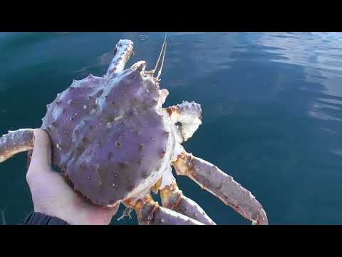 Видео: Рыбалка на Кольском п-ве . Поход на катере..