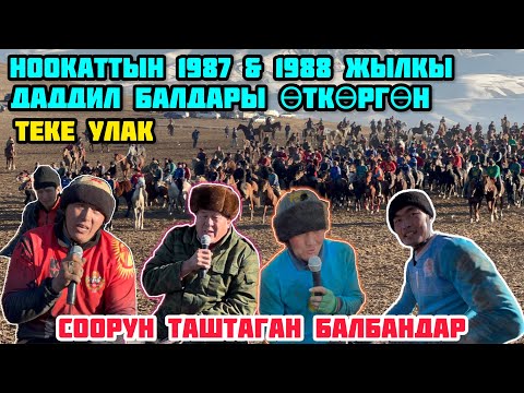 Видео: Ноокаттагы Ынтымак Улагы 01_01_2024