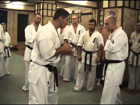 Видео: Семинар Лючиано Гогонела киокушинкай каратэ - Luciano Gogonela