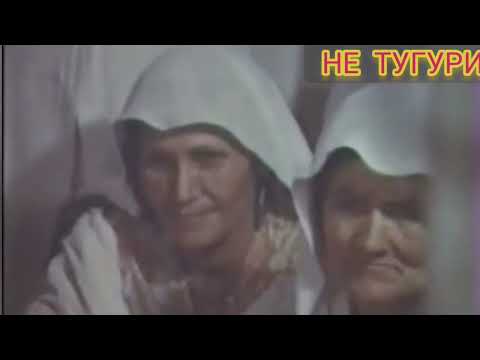 Видео: МУХЛИСИ АШАДИ ОДИНА ХОШИМ