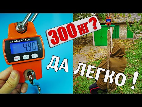 Видео: КРАНОВЫЕ ВЕСЫ 300 КГ | МОЩНЫЕ ВЕСЫ ДЛЯ ТЯЖЁЛЫХ ВЗВЕШИВАНИЙ