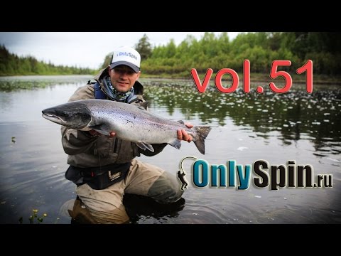 Видео: OnlySpin  на Кольском  Ловля семги на спиннинг
