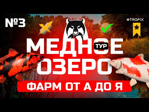 Видео: #3 Русская рыбалка 4 — ТУР на МЕДНОЕ озеро | фарм СЕРЕБРА + прокачка ДОНКИ
