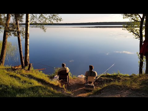 Видео: Рыбалка с Ночёвкой на Чигиринском  Водохранилище. Рыбалка на Фидер. Много Подлещика на Фидер.