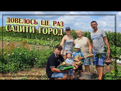 Видео: Все буде🇺🇦 Що можна посіяти після цибулі та часнику. УРОЖАЙ сіянки❗️ Переможець парі❗️