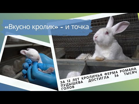 Видео: «Вкусно кролик» – и точка. За 12 лет ферма Романа Пудышева достигла 36 тысяч голов