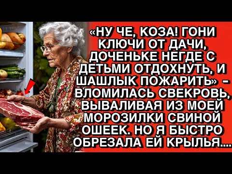 Видео: «НУ ЧЕ, КОЗА! ГОНИ КЛЮЧИ ОТ ДАЧИ, ДОЧЕНЬКЕ НЕГДЕ С ДЕТЬМИ ШАШЛЫК ПОЖАРИТЬ»  ВЛОМИЛАСЬ СВЕКРОВЬ
