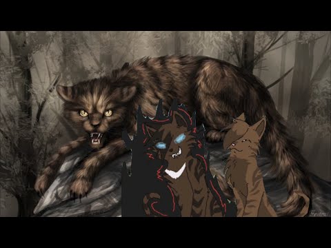 Видео: Звездоцап│Коршун и Ежевика - я не тот, кем ты хочешь, чтоб я был.