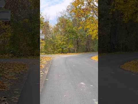 Видео: #осень #погода #польша