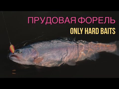 Видео: Прудовая форель на колебалки. Area trout fishing 2022