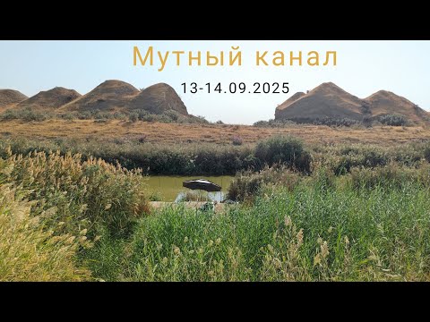 Видео: Рыбалка в Узбекистане. Мутный канал. 13-14.09.2025г. Рыбалка и отдых.