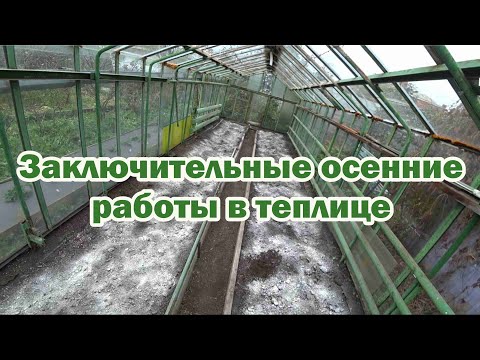 Видео: Заключительные осенние работы в теплице