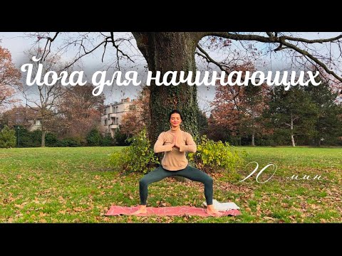 Видео: Мягкая йога-растяжка для ЗДОРОВОЙ спины и приятного вытяжения 🌿