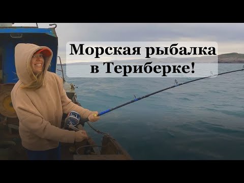 Видео: ТУРИСТИЧЕСКАЯ морская рыбалка в ТЕРИБЕРКЕ, КАК ЭТО? Треска, пикша, мерланг, море Часть 1