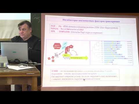 Видео: Носов А. М. - Физиология растений II - Рецепция фитогормонов