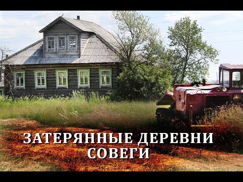 Видео: Уютная русская деревня в глуши / Как живут в отдаленных деревнях среди болот / Костромская область