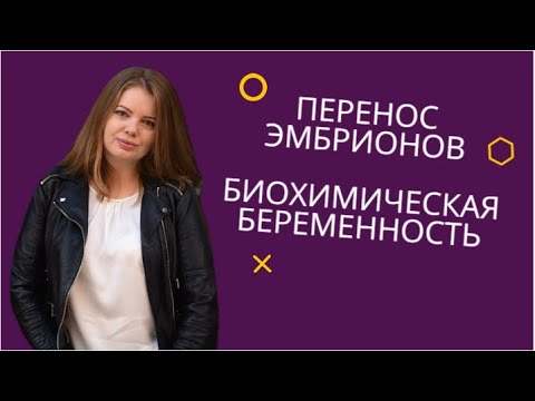 Видео: Перенос эмбрионов. Биохимическая беременность
