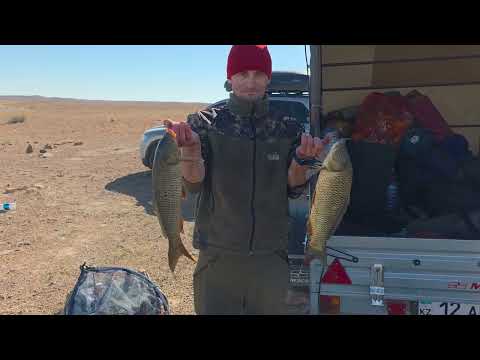 Видео: Рыбалка на БАЛХАШЕ 01.10.2025