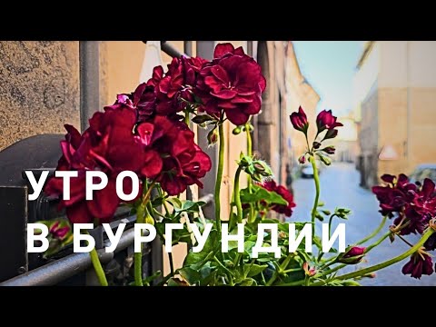 Видео: Утренний забег цвета БУРГУНДИ 🍒🍒🍒😆💃