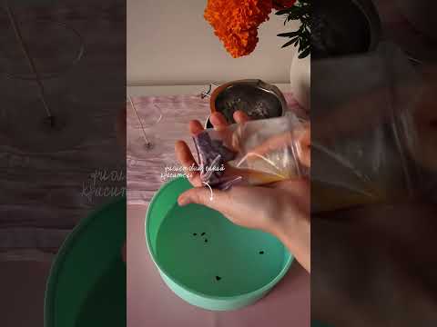 Видео: Как развиваться в свечеварении рассказываю по ссылке в описании