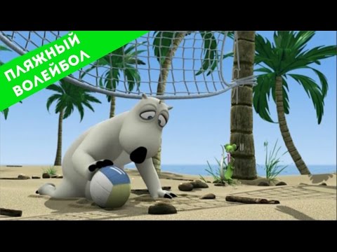 Видео: БЕРНАРД: Пляжный волейбол