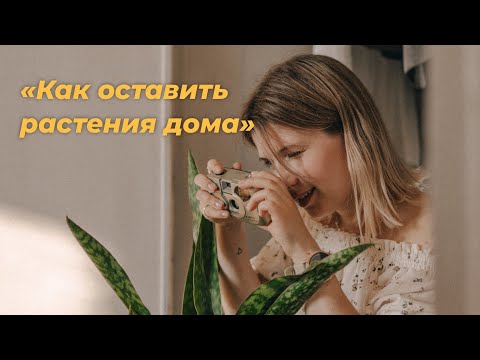 Видео: Как оставить растения дома