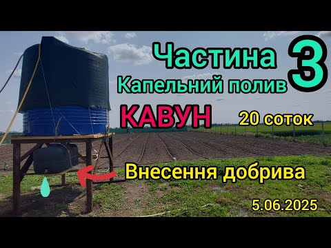 Видео: ‼️Капельний полив кавуна❗️Ремонт капельной ленти❗️Внесення добрива ❗️ЧАСТИНА 3 ✅️