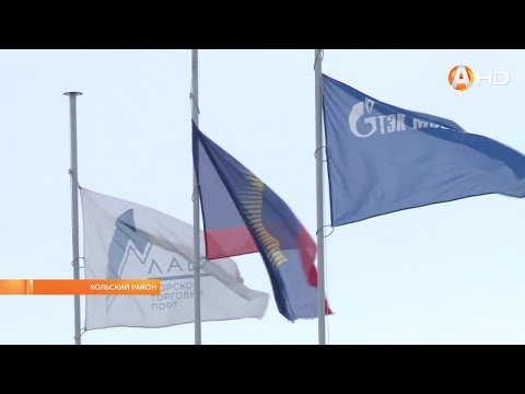 Видео: Морской порт «Лавна» на западном берегу Кольского залива уже готов на 57%