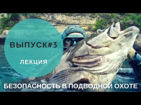 Видео: Безопасность в подводной охоте #3. Рыба.