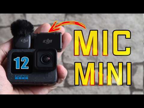 Видео: DJI MIC MINI и GoPro 12 все ли так хорошо?