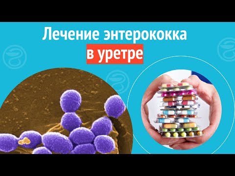 Видео: 💊 Лечение энтерококка в уретре. Клинический случай №1375