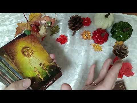 Видео: Осенняя подборка карт Таро 🍂🍁🍄